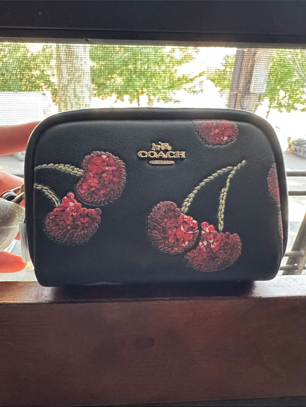 Coach Cherry pouch wristlet